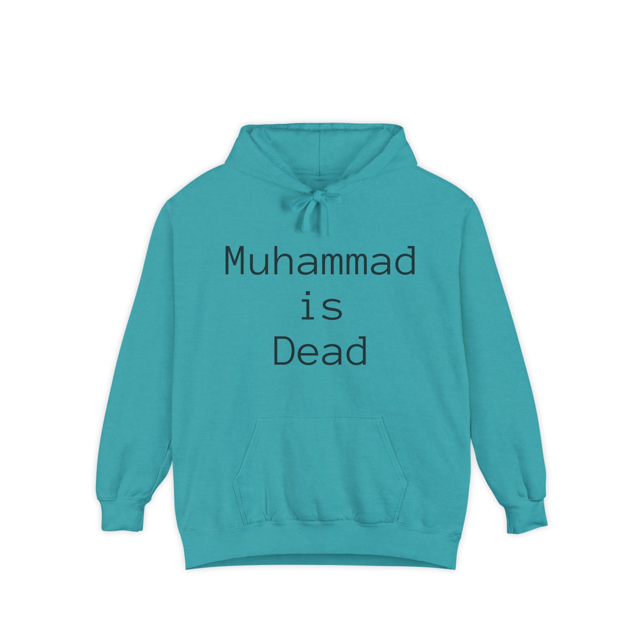 Unisex Hoodie with Thought-Provoking Messages, Casual Wear, Religious Identity, Comfortable Everyday Use, Gift for Friends