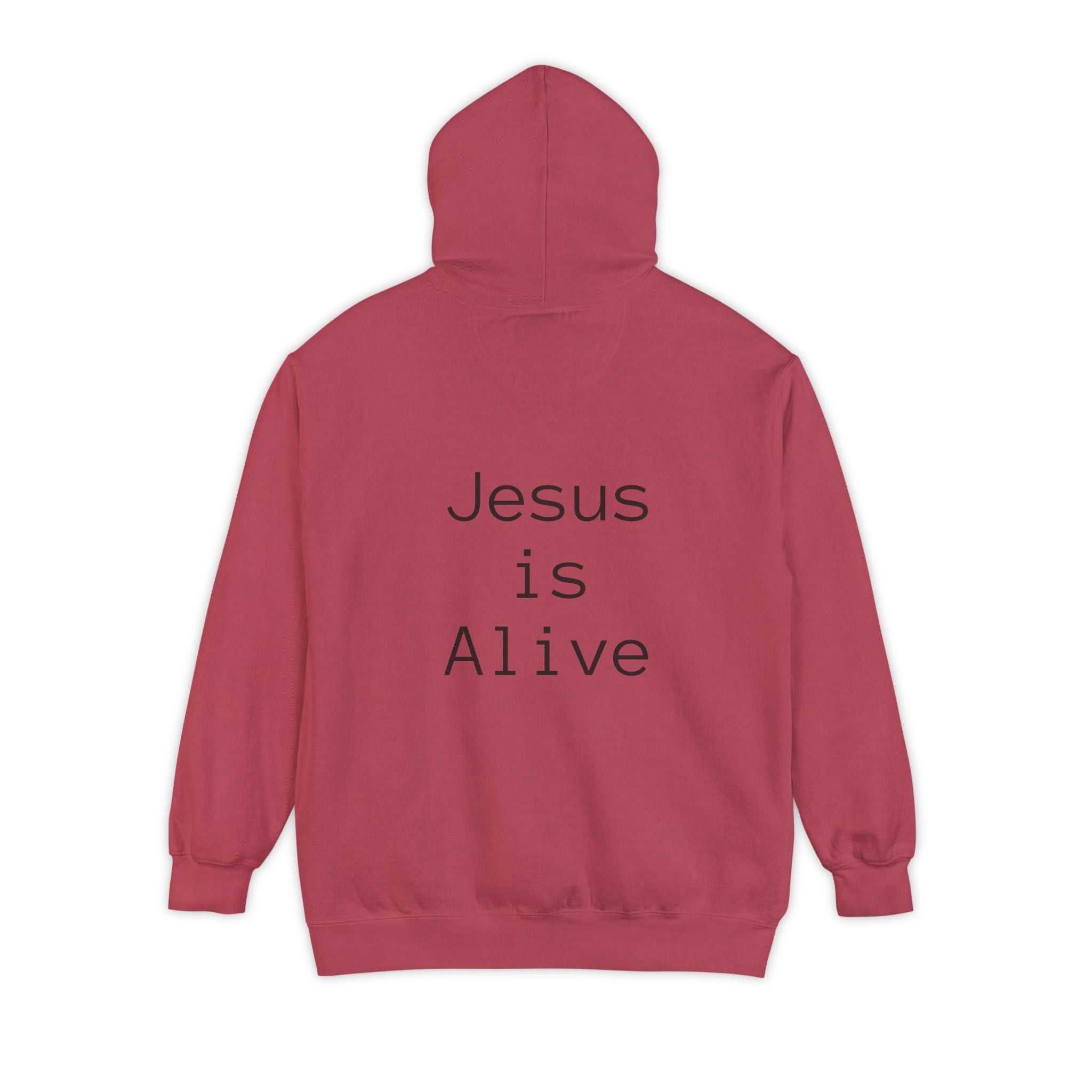 Unisex Hoodie with Thought-Provoking Messages, Casual Wear, Religious Identity, Comfortable Everyday Use, Gift for Friends