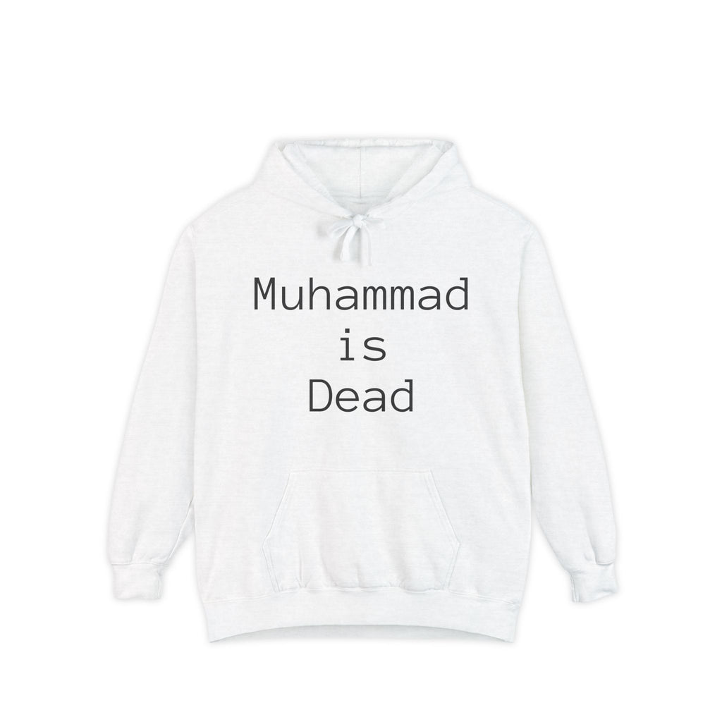Unisex Hoodie with Thought-Provoking Messages, Casual Wear, Religious Identity, Comfortable Everyday Use, Gift for Friends