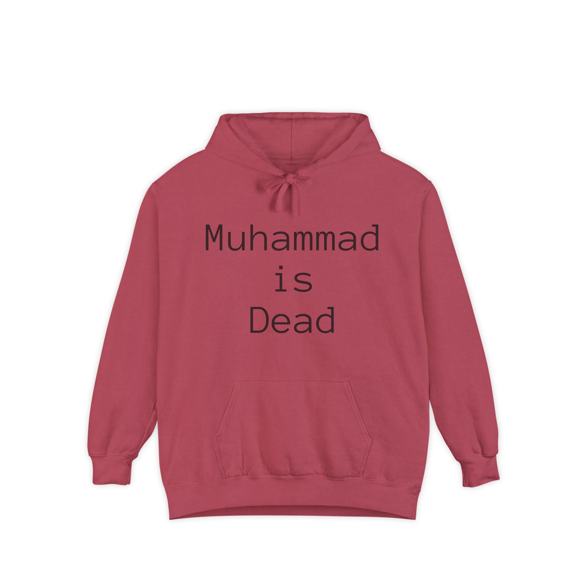 Unisex Hoodie with Thought-Provoking Messages, Casual Wear, Religious Identity, Comfortable Everyday Use, Gift for Friends