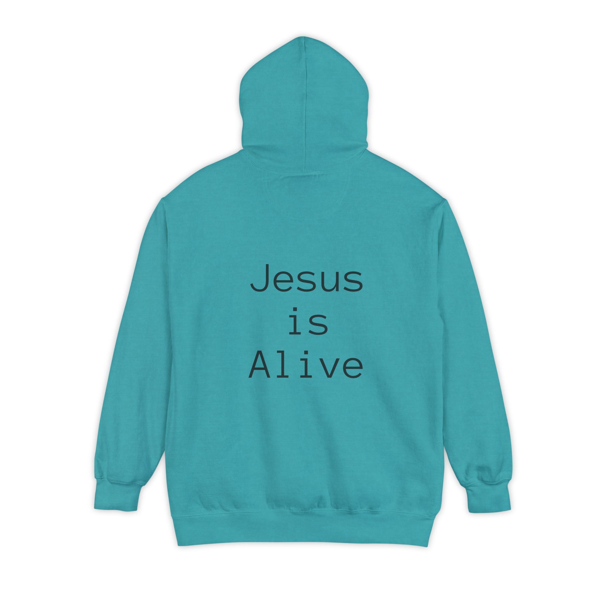 Unisex Hoodie with Thought-Provoking Messages, Casual Wear, Religious Identity, Comfortable Everyday Use, Gift for Friends